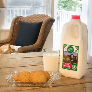 National Milk Day 2019!