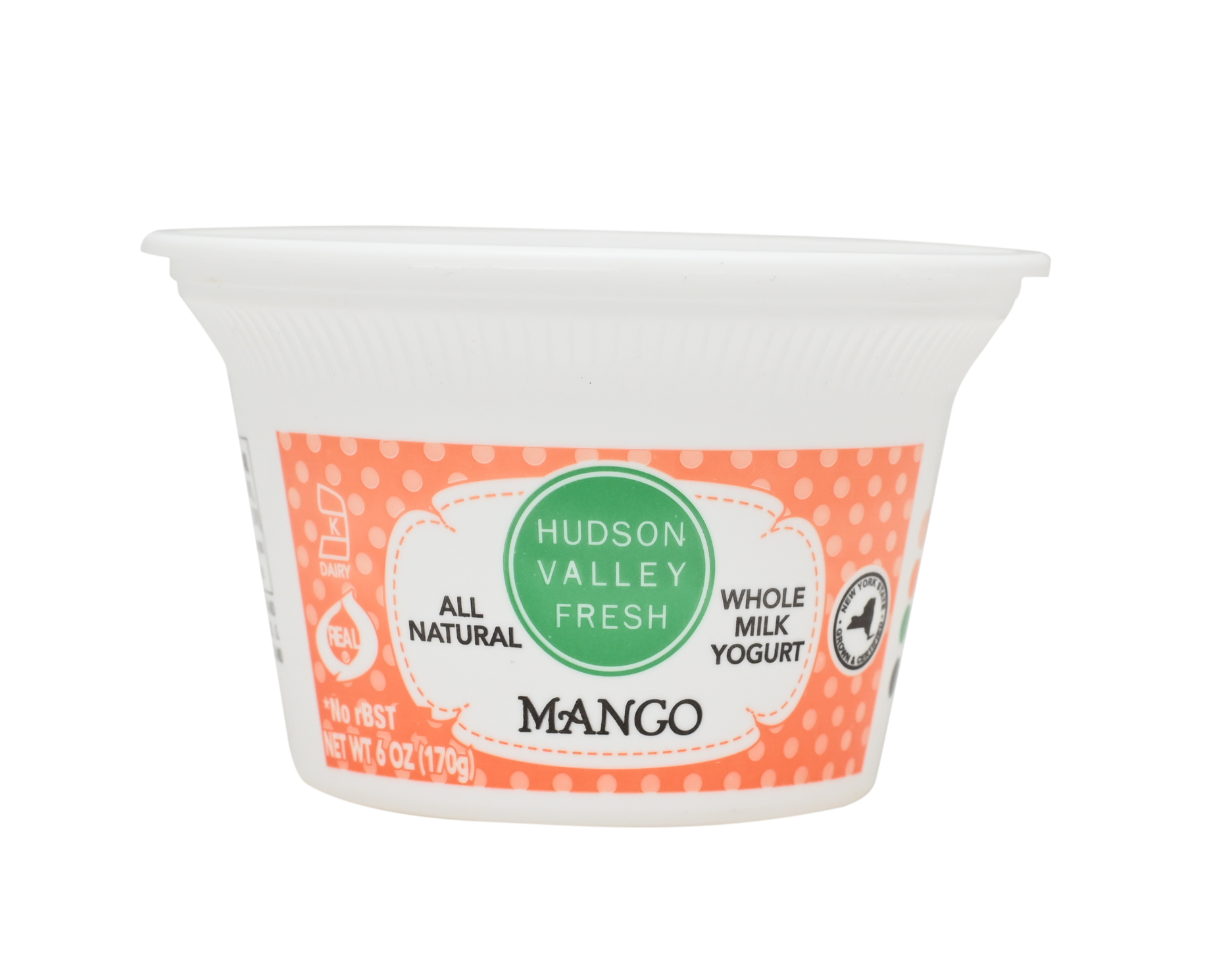 Mango Yogurt